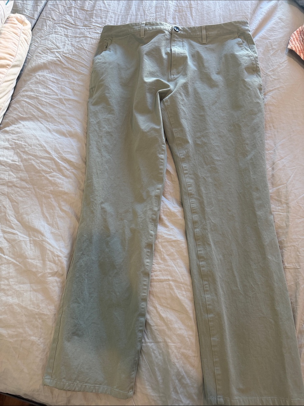 Men's Classic Chino Pants in Light Sage